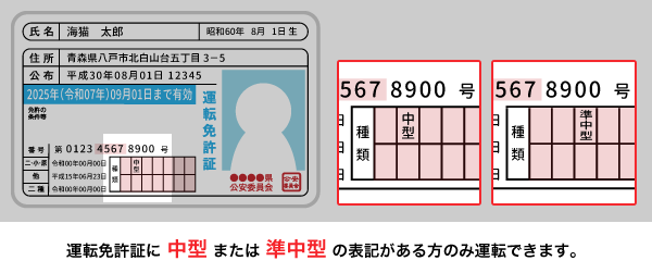 運転免許証に 中型 または 準中型 の表記がある方のみ運転できます。